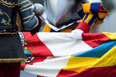 20201004_Swiss-Guards_Daniel-Ibanez_25