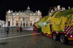 20201230_Christmas-tree-has-arrived-at-Vatican-City-from-Slovenia_Alexey-Gotovskiy_3